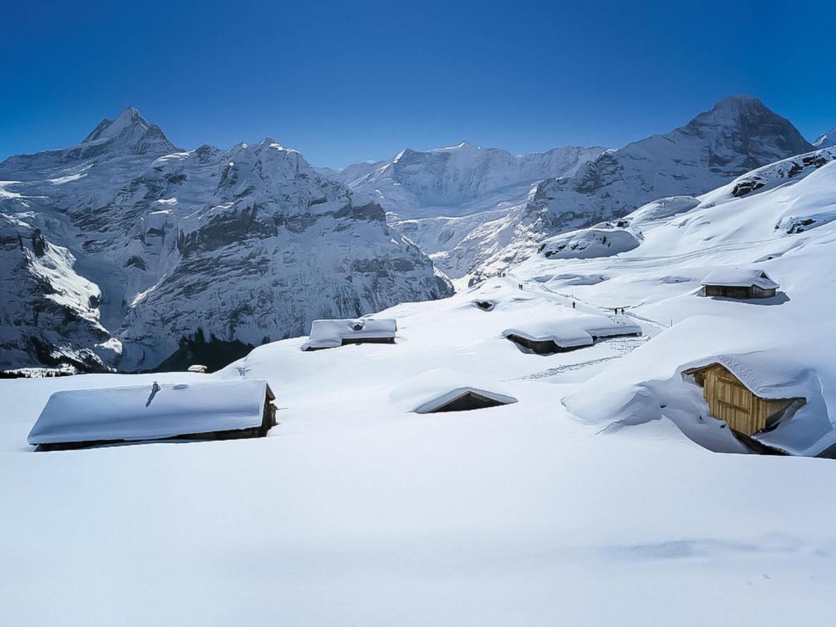 Apartment Chalet Casa Almis 5 By Interhome Grindelwald Exterior photo